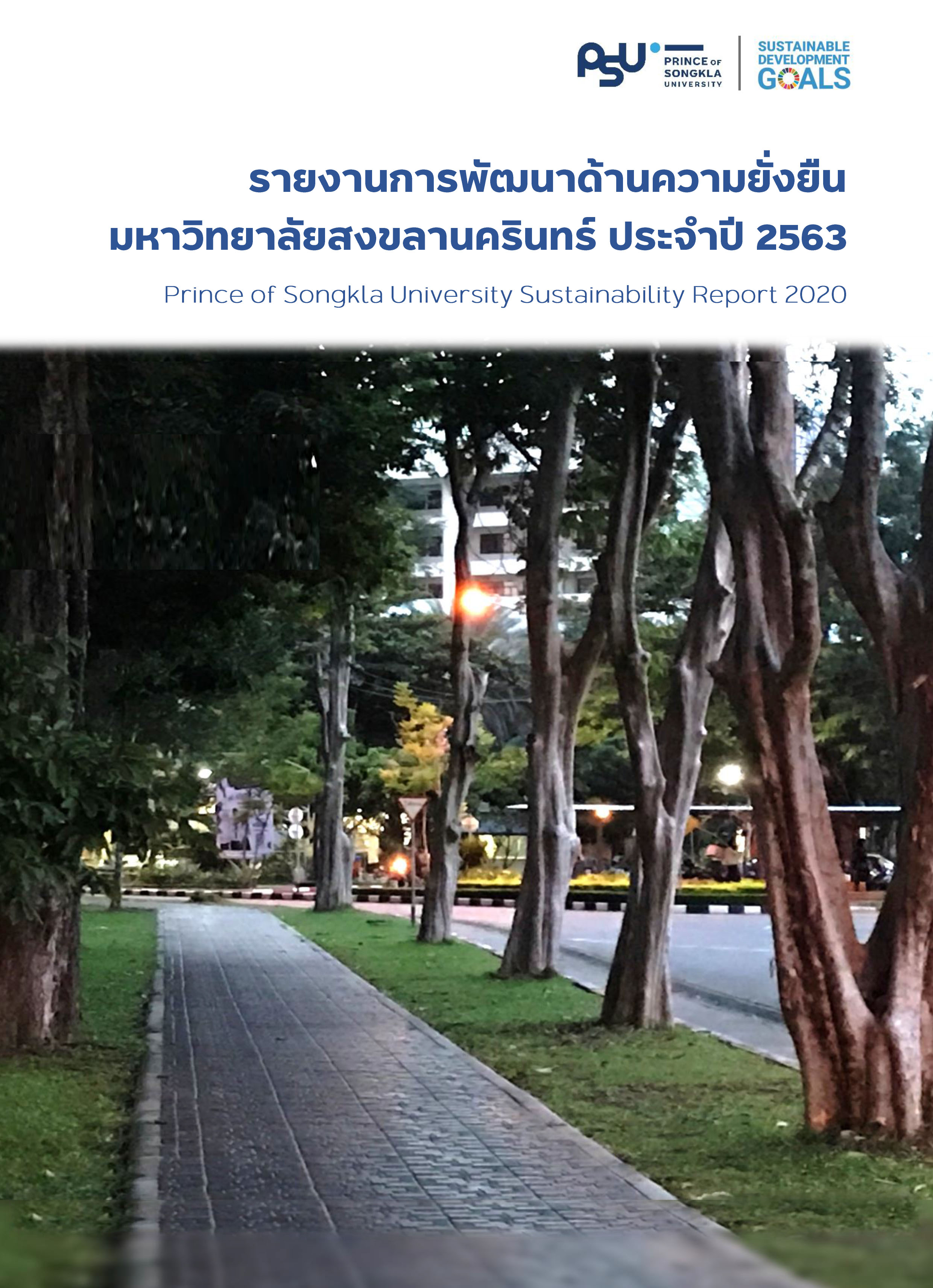 Report_2020